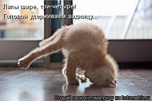 Котоматрица: Лапы шире, три-четыре! Головой удерживаем задницу...
