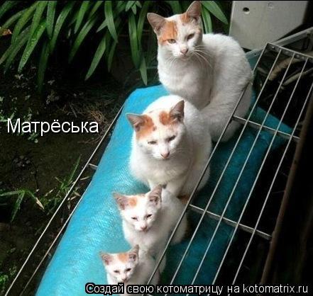 Матрёська... Котоматрица: Матрёська