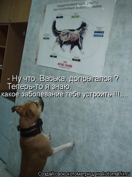 - Ну что, Васька, допрыгался ? Теперь-то я знаю, какое заболевание тебе устроить !!!....... Котоматрица: - Ну что, Васька, допрыгался ? Теперь-то я знаю, какое заболевание тебе устроить !!!....