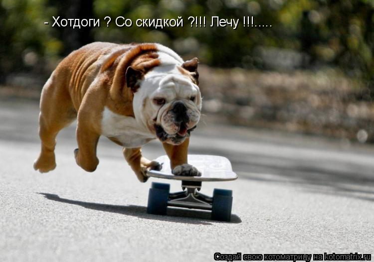 - Хотдоги ? Со скидкой ?!!! Лечу !!!........ Котоматрица: - Хотдоги ? Со скидкой ?!!! Лечу !!!.....