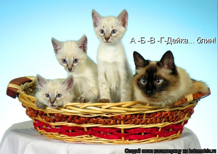 А -Б -В -Г-Дейка... блин!... Котоматрица: А -Б -В -Г-Дейка... блин!
