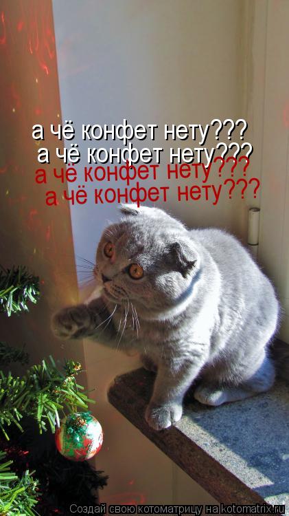 а чё конфет нету??? а чё конфет нету??? а чё конфет нету??? а чё конфет нету??? а чё конфет нету???... Котоматрица: а чё конфет нету??? а чё конфет нету??? а чё конфет нету??? а чё конфет нету??? а чё конфет нету???