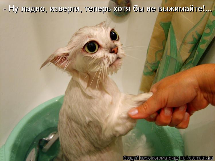 - Ну ладно, изверги, теперь хотя бы не выжимайте!...... Котоматрица: - Ну ладно, изверги, теперь хотя бы не выжимайте!...