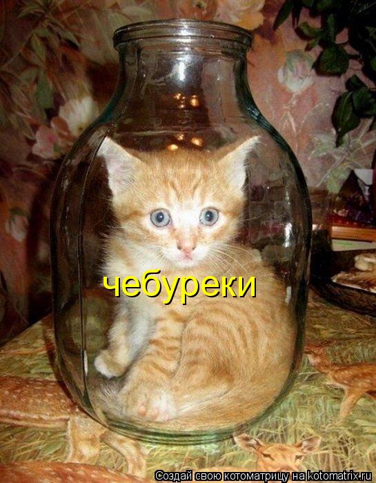 чебуреки... Котоматрица: чебуреки