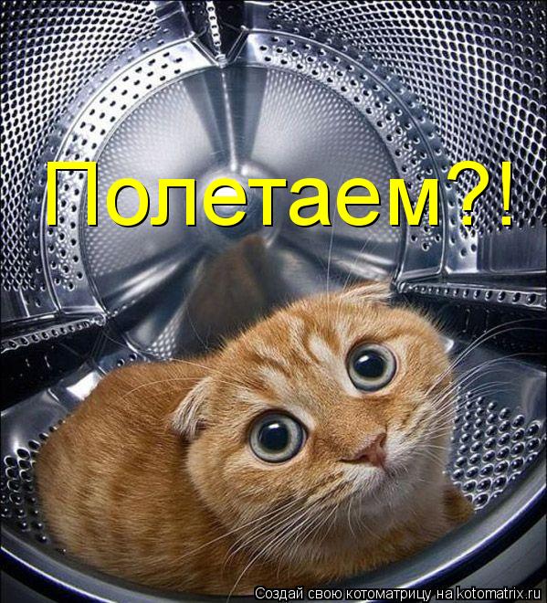 Полетаем?!... Котоматрица: Полетаем?!