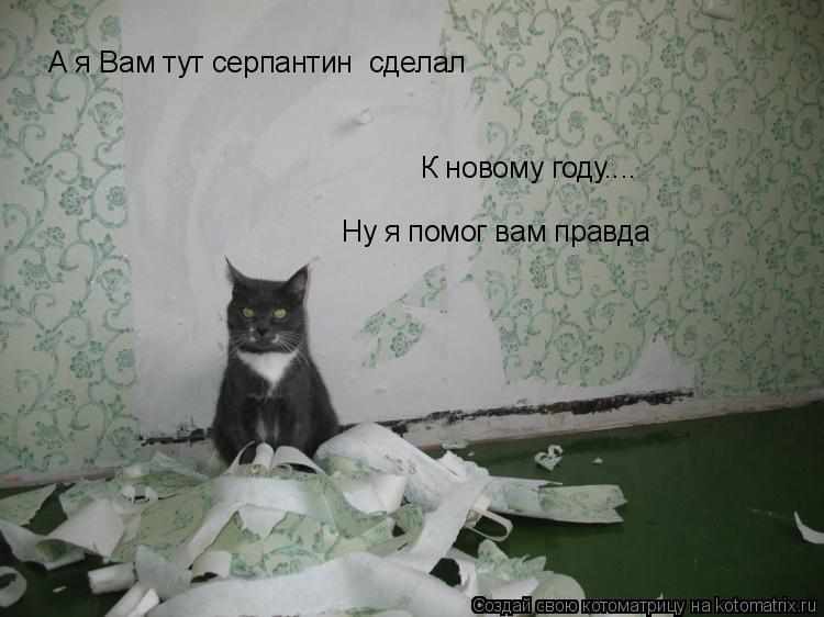 А я Вам тут серпантин сделал К новому году.... Ну я помог вам правда... Котоматрица: А я Вам тут серпантин сделал К новому году.... Ну я помог вам правда