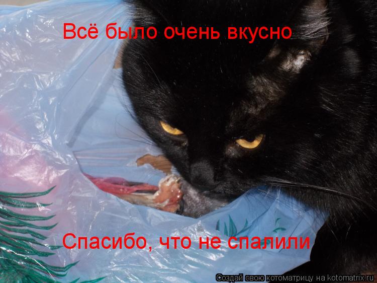 Котоматрица: Всё было очень вкусно Спасибо, что не спалили