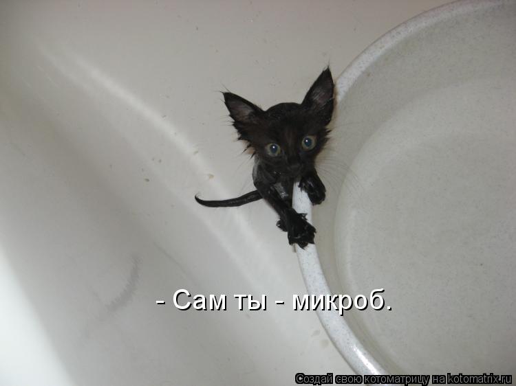 - Сам ты - микроб.... Котоматрица: - Сам ты - микроб.