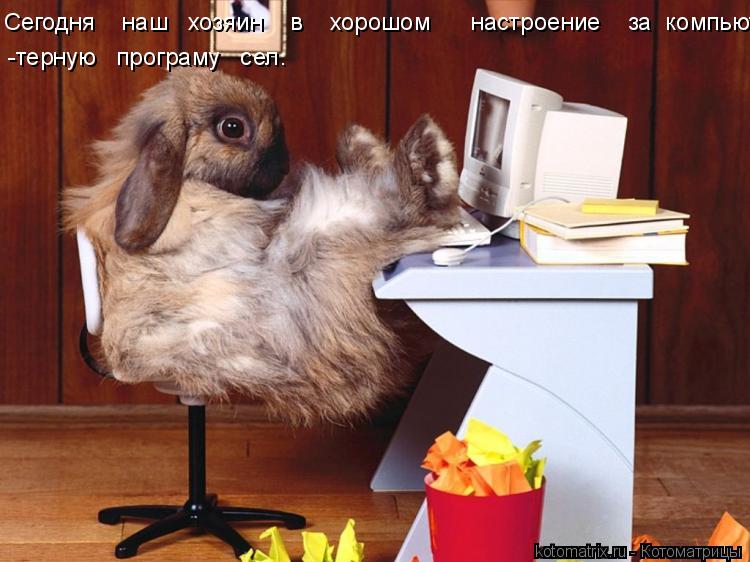 Котоматрица: Сегодня    наш   хозяин    в    хорошом      настроение    за  компьютерную       про                                      -терную   програму   сел.