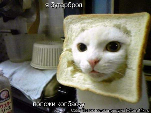 Котоматрица: я бутерброд. положи колбаску