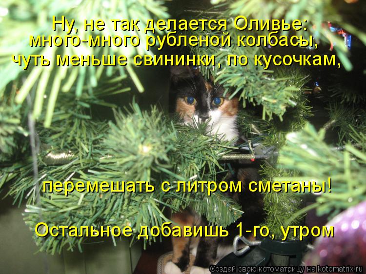 Ну, не так делается Оливье: чуть меньше свининки, по кусочкам, много-много рубленой колбасы, перемеша... Котоматрица: Ну, не так делается Оливье: чуть меньше свининки, по кусочкам, много-много рубленой колбасы, перемешать с литром сметаны! Остальное добавишь