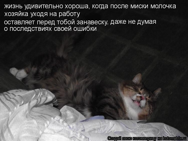 Котоматрица: жизнь удивительно хороша, когда после миски молочка хозяйка уходя на работу оставляет перед тобой занавеску , даже не думая  о последствиях