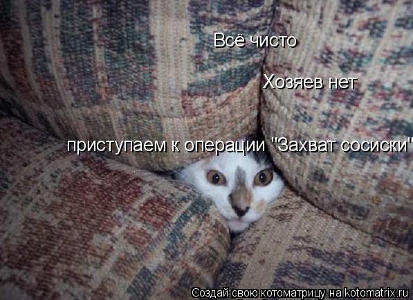 Всё чисто Хозяев нет приступаем к операции "Захват сосиски''... Котоматрица: Всё чисто Хозяев нет приступаем к операции "Захват сосиски''