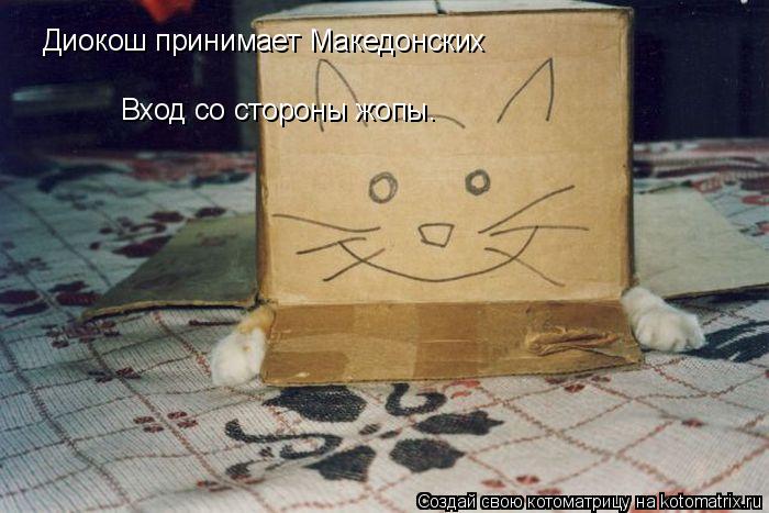 Диокош принимает Македонских Вход со стороны жопы.... Котоматрица: Диокош принимает Македонских Вход со стороны жопы.
