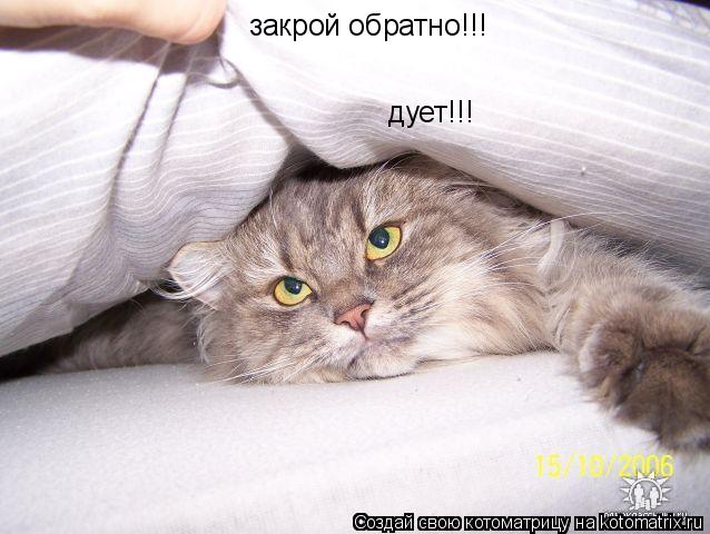 Котоматрица: закрой обратно!!! дует!!!