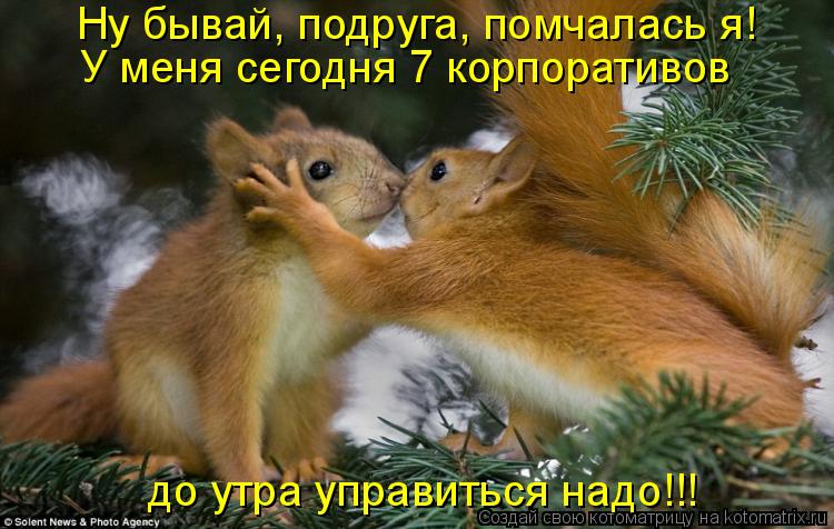 Ну бывай, подруга, помчалась я! У меня сегодня 7 корпоративов до утра управиться надо!!!... Котоматрица: Ну бывай, подруга, помчалась я! У меня сегодня 7 корпоративов до утра управиться надо!!!