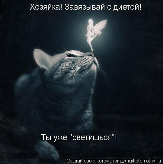 Котоматрица: Хозяйка! Завязывай с диетой! Ты уже "светишься"!