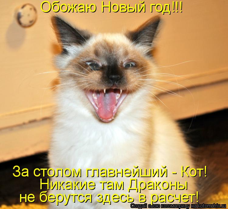 Обожаю Новый год!!! Никакие там Драконы не берутся здесь в расчет! За столом главнейший - Кот!... Котоматрица: Обожаю Новый год!!! Никакие там Драконы не берутся здесь в расчет! За столом главнейший - Кот!