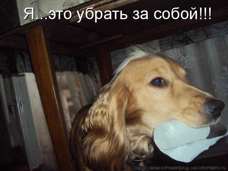 Я...это убрать за собой!!!... Котоматрица: Я...это убрать за собой!!!