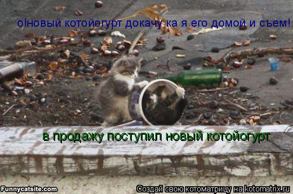 в продажу поступил новый котойогурт о!новый котойогурт докачу ка я его домой и съем!... Котоматрица: в продажу поступил новый котойогурт о!новый котойогурт докачу ка я его домой и съем!