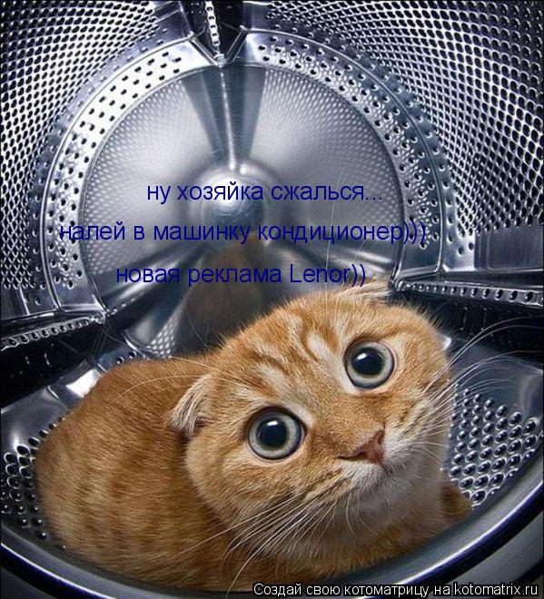 ну хозяйка сжалься... налей в машинку кондиционер))) новая реклама Lenor))... Котоматрица: ну хозяйка сжалься... налей в машинку кондиционер))) новая реклама Lenor))