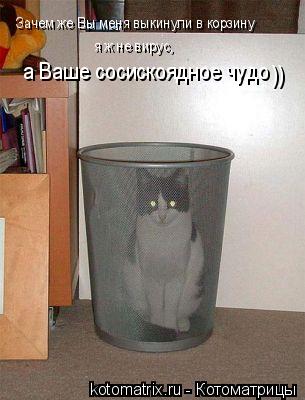 Зачем же Вы меня выкинули в корзину я ж не вирус, а Ваше сосискоядное чудо ))... Котоматрица: Зачем же Вы меня выкинули в корзину я ж не вирус, а Ваше сосискоядное чудо ))
