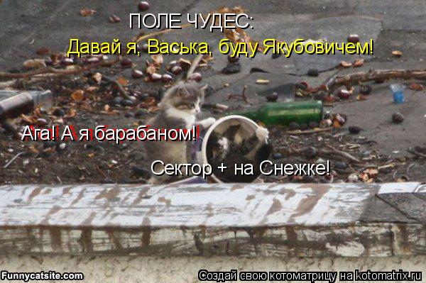 Давай я, Васька, буду Якубовичем! Ага! А я барабаном! Ага! А я барабаном! Сектор + на Снежке! ПОЛЕ ЧУ... Котоматрица: Давай я, Васька, буду Якубовичем! Ага! А я барабаном! Ага! А я барабаном! Сектор + на Снежке! ПОЛЕ ЧУДЕС: