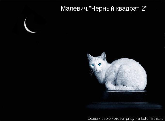Малевич."Черный квадрат-2"... Котоматрица: Малевич."Черный квадрат-2"