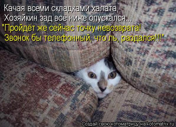 Котоматрица: Качая всеми складками халата, Хозяйкин зад всё ниже опускался... "Пройдёт же сейчас точку невозврата! Звонок бы телефонный, что ль, раздался!!