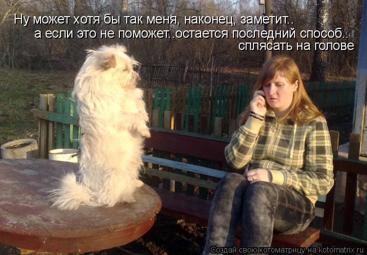 Котоматрица: Ну может хотя бы так меня, наконец, заметит.. а если это не поможет..остается последний способ.. а если это не поможет..остается последний спос