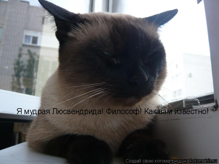 Котоматрица: Я мудрая Люсвендрида! Философ! Как вам известно!