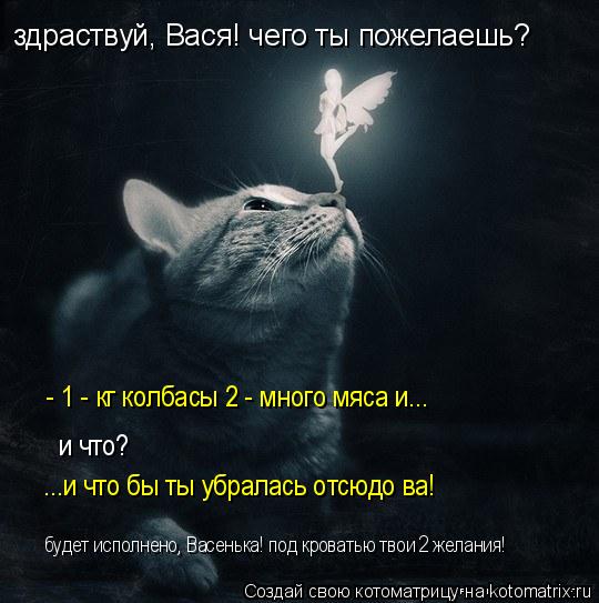 Котоматрица: здраствуй, Вася! чего ты пожелаешь? - 1 - кг колбасы 2 - много мяса и...  и что? ...и что бы ты убралась отсюдо ва! будет исполнено, Васенька! под кро