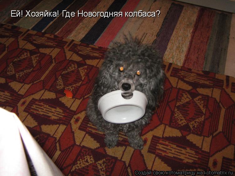 Котоматрица: Ей! Хозяйка! Где Новогодняя колбаса?