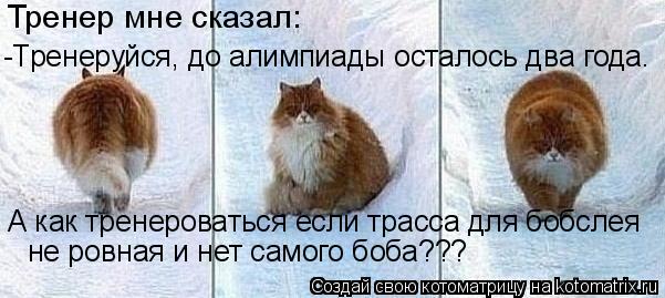 Тренер мне сказал: -Тренеруйся, до алимпиады осталось два года. А как тренероваться если трасса для б... Котоматрица: Тренер мне сказал: -Тренеруйся, до алимпиады осталось два года. А как тренероваться если трасса для бобслея не ровная и нет самого боба???
