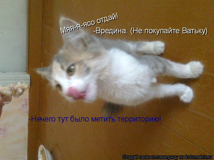 Мяя-я-ясо отдай! -Нечего тут было метить территорию! -Вредина. (Не покупайте Ватьку)... Котоматрица: Мяя-я-ясо отдай! -Нечего тут было метить территорию! -Вредина. (Не покупайте Ватьку)