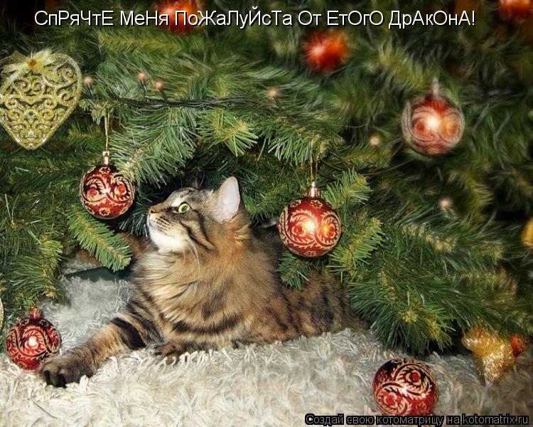 СпРяЧтЕ МеНя ПоЖаЛуЙсТа От ЕтОгО ДрАкОнА!... Котоматрица: СпРяЧтЕ МеНя ПоЖаЛуЙсТа От ЕтОгО ДрАкОнА!
