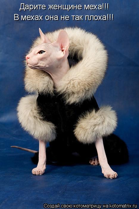 Дарите женщине меха!!! В мехах она не так плоха!!!... Котоматрица: Дарите женщине меха!!! В мехах она не так плоха!!!