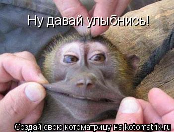 Ну давай улыбнись!... Котоматрица: Ну давай улыбнись!