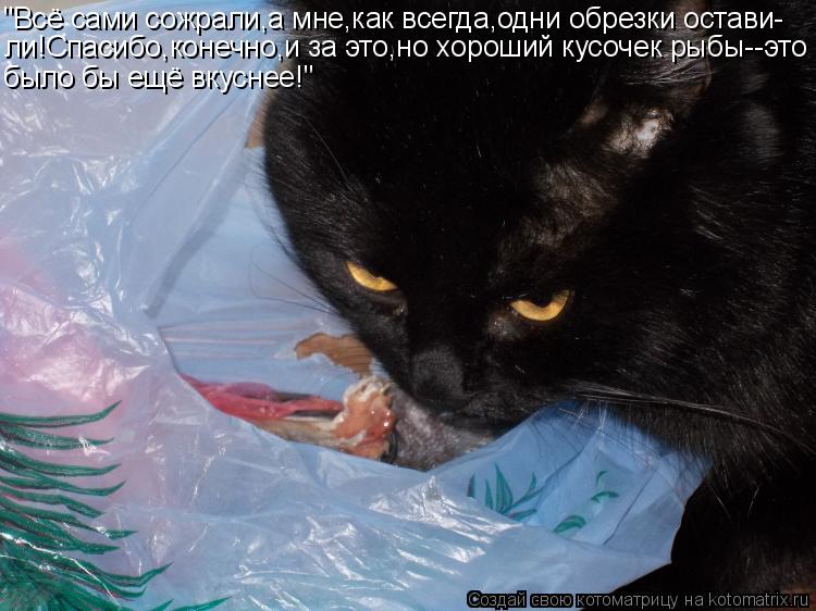 "Всё сами сожрали,а мне,как всегда,одни обрезки остави- ли!Спасибо,конечно,и за это,но хороший кусоче... Котоматрица: "Всё сами сожрали,а мне,как всегда,одни обрезки остави- ли!Спасибо,конечно,и за это,но хороший кусочек рыбы--это было бы ещё вкуснее!"