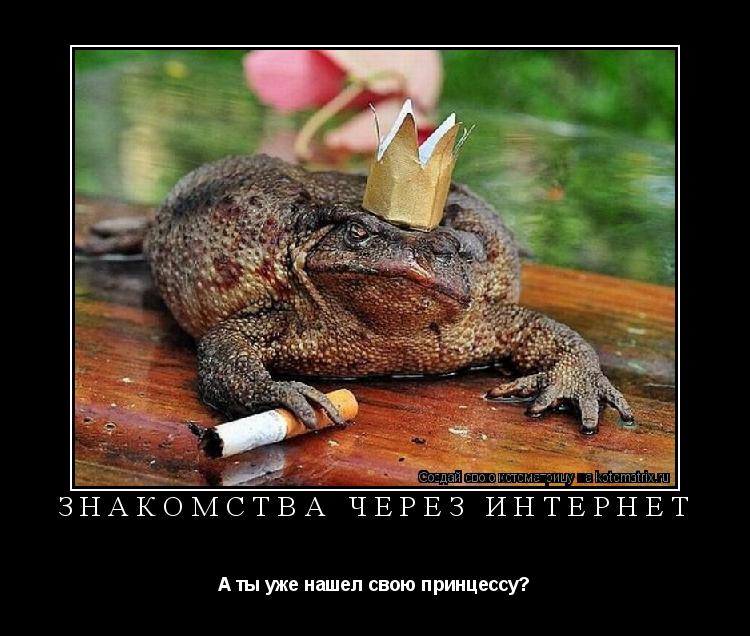 Котоматрица: Знакомства через интернет А ты уже нашел свою принцессу?