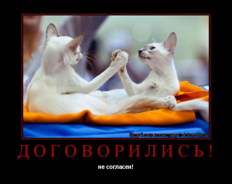 Котоматрица: договорились! не согласен!