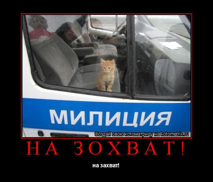 Котоматрица: на зохват! на захват!