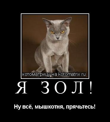 Котоматрица: Я зол! Ну всё, мышкотня, прячьтесь!