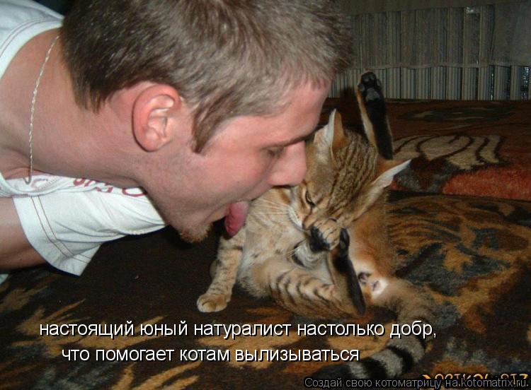 настоящий юный натуралист настолько добр, что помогает котам вылизываться... Котоматрица: настоящий юный натуралист настолько добр, что помогает котам вылизываться