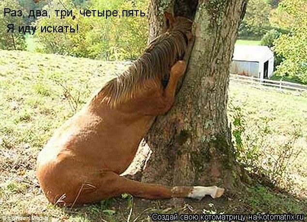 Раз, два, три, четыре,пять, Я иду искать!... Котоматрица: Раз, два, три, четыре,пять, Я иду искать!