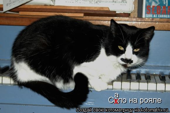 Котоматрица: Соло на рояле х a