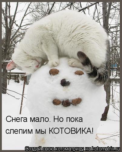 Котоматрица: Снега мало. Но пока слепим мы КОТОВИКА!