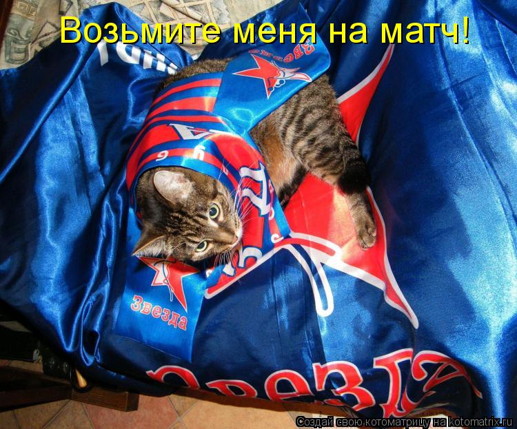 Котоматрица: Возьмите меня на матч!