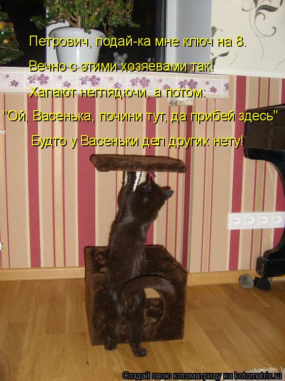 Петрович, подай-ка мне ключ на 8. Вечно с этими хозяевами так! Хапают неглядючи, а потом: "Ой, Васень... Котоматрица: Петрович, подай-ка мне ключ на 8. Вечно с этими хозяевами так! Хапают неглядючи, а потом: "Ой, Васенька, почини тут, да прибей здесь" Будто у Вас