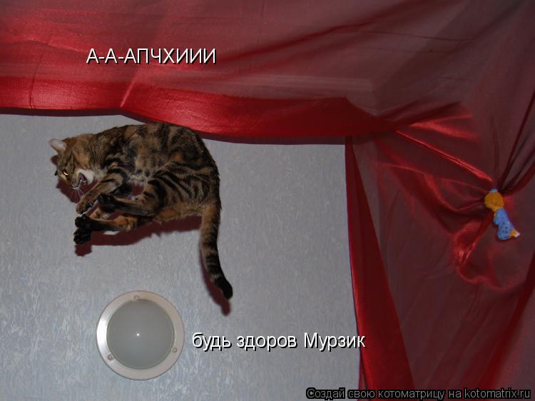 Котоматрица: А-А-АПЧХИИИ будь здоров Мурзик